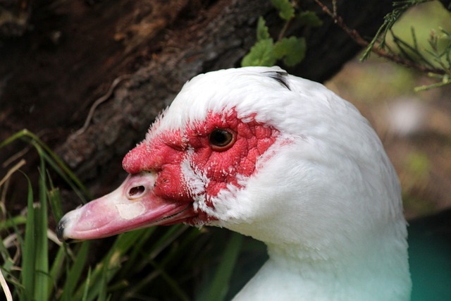 海星体育-海星TV足球直播_NBA直播-英超直播-体育直播-篮球直播_海星体育直播