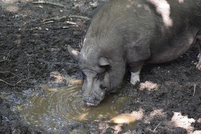 海星体育-海星TV足球直播_NBA直播-英超直播-体育直播-篮球直播_海星体育直播