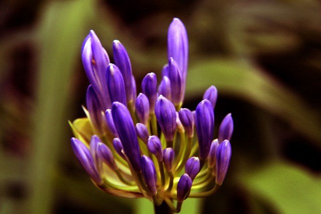 这不仅涉及 这不仅涉及