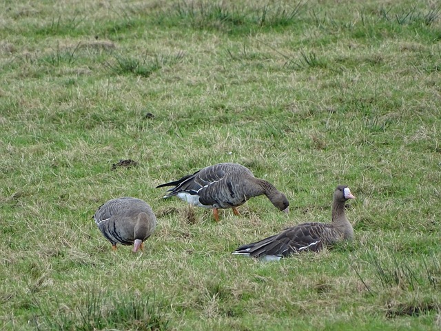 这一变化释 这一变化释