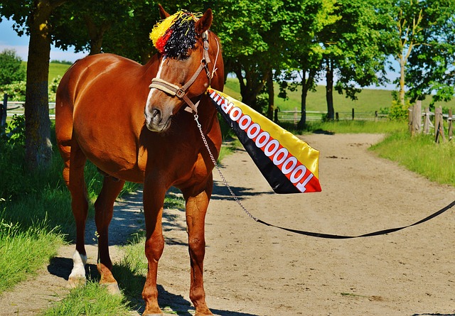 他就曾在青 他就曾在青