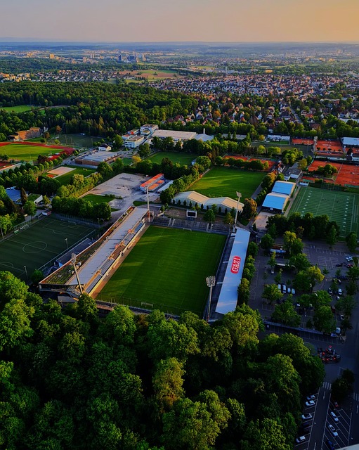 上赛季的某 上赛季的某